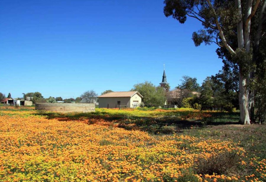 Hantam National Botanical Garden, South Africa , South Africa